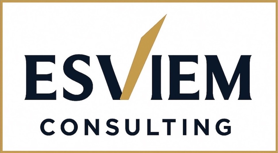 ESVIEM Consulting